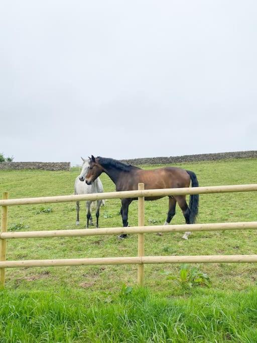 Luxury Detached Peak District Stone Barn - Dog Friendly Villa Hazelwood Eksteriør billede